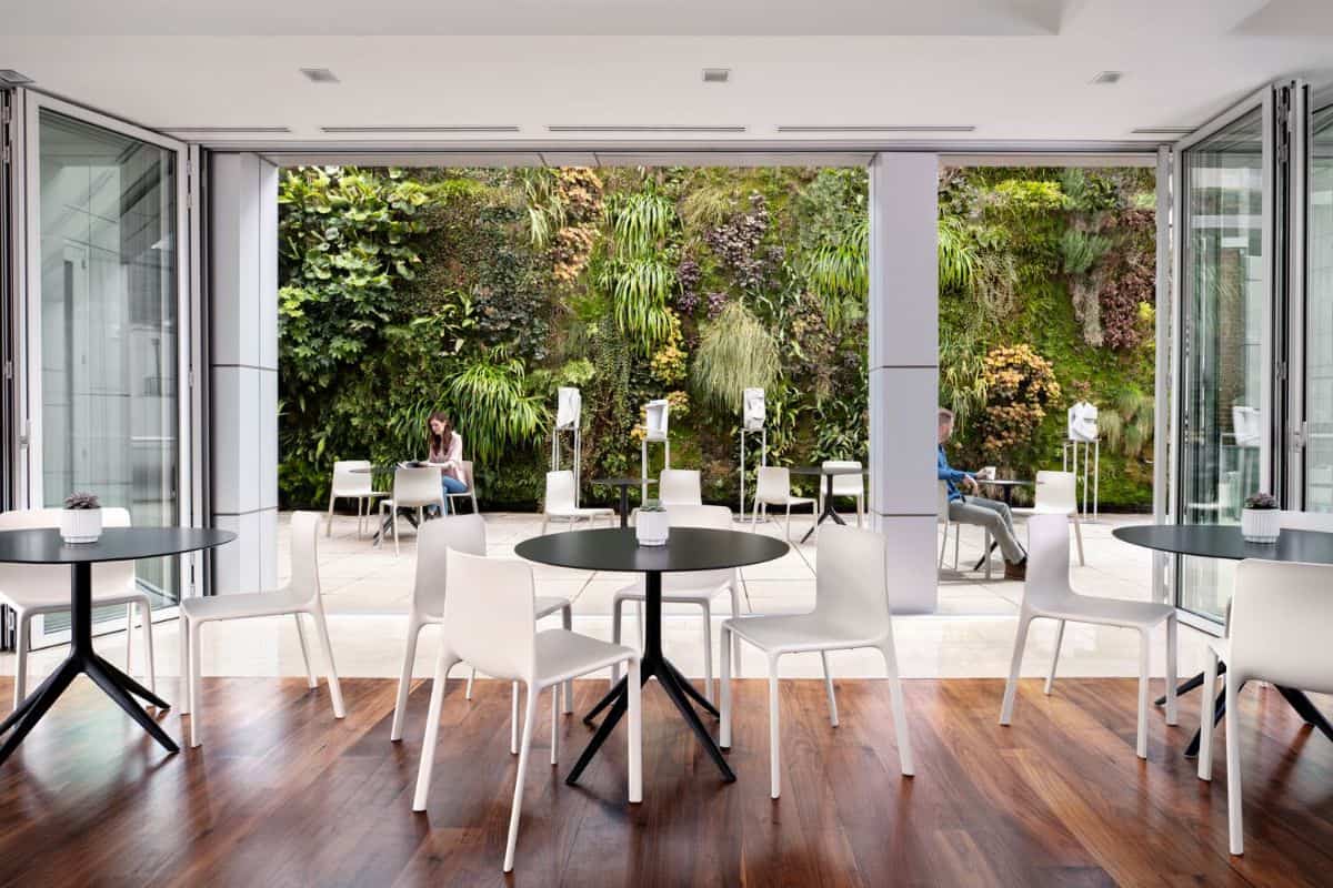 Workplace Wellness Design Ideas and Resources