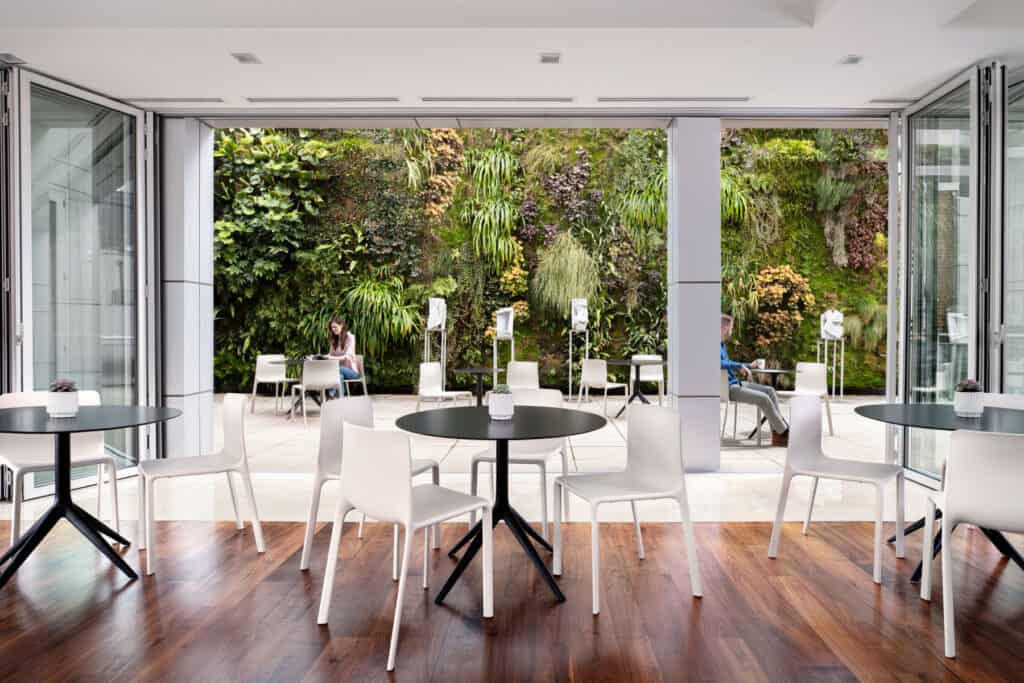 wellness design